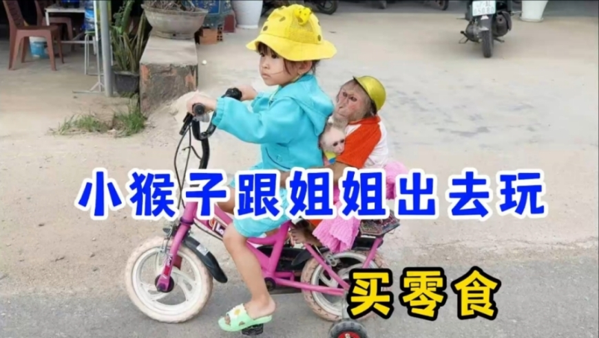 澳门彩三肖三码资料,50万竟然买了4辆宝马,广泛的解释落实方法分析_iosV6.3